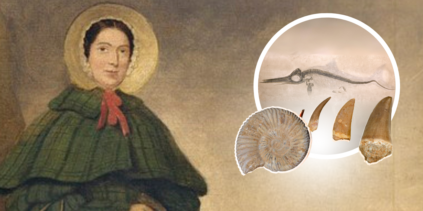 Mary Anning - Event listing